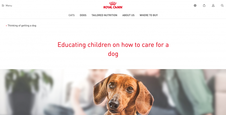 Training a Dog Example - Copywriter Portfolio