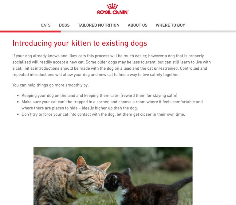 Royal Canin Copywriting Example
